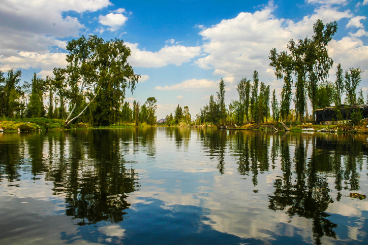 xochimilco Reyes