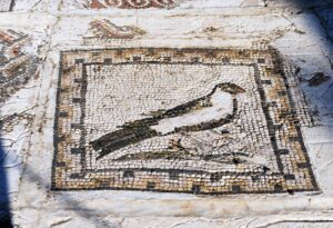 Procedimiento adecuado para abrillantar loseta vinílica y mosaico (3)